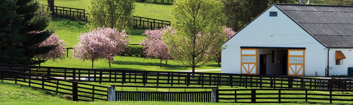 Claiborne Farm - 100 Years Doing The Usual Unusually Well