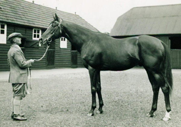 Blenheim600x420