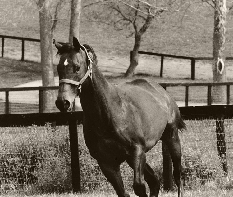 hoist-the-flag-claiborne