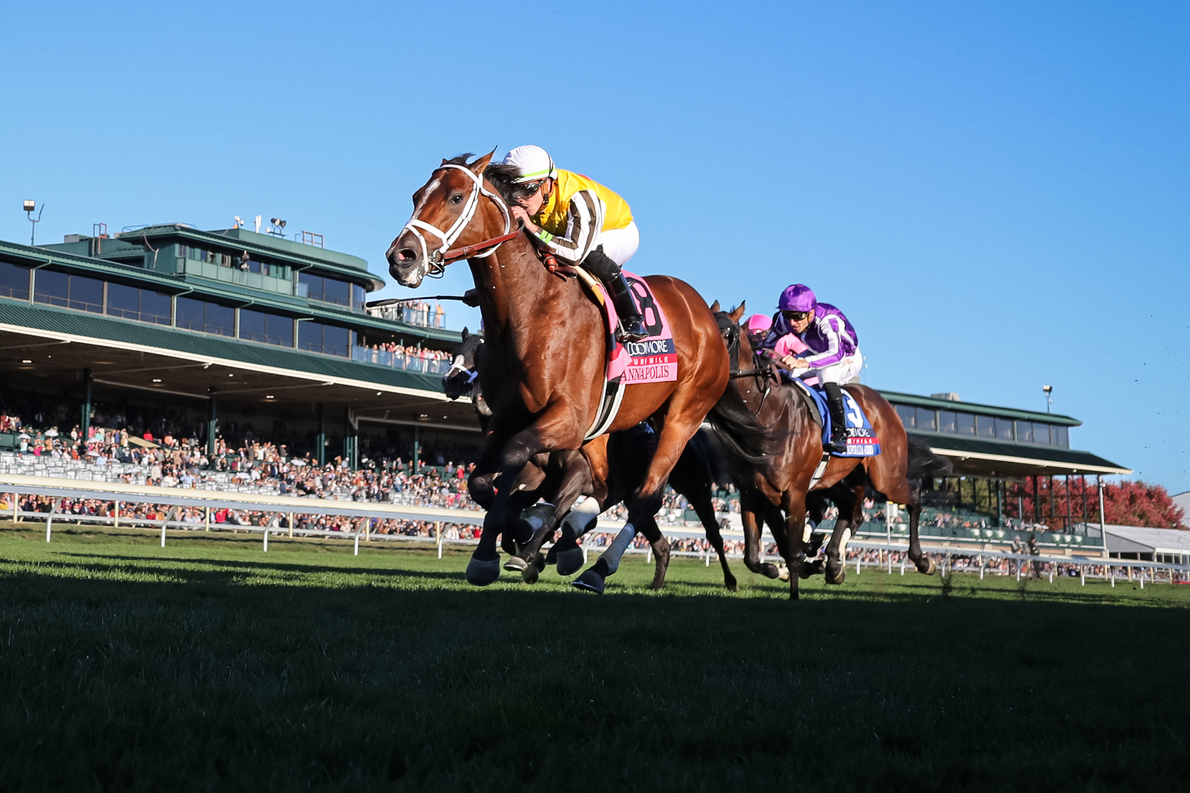 WAR FRONT’s Annapolis Takes out Coolmore Turf Mile (G1) Claiborne